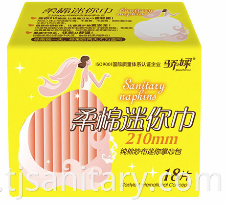 sanitary napkin